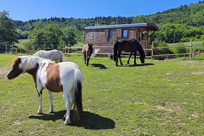 Image de Charmante roulotte sur les hauteurs Ardéchoise
