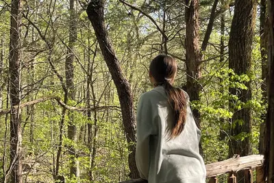 Image de Unplug and hide from the world in this rustic South Pittsburg cabin