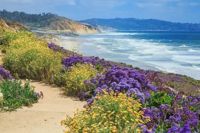 Image de Sea Flower - Remodeled Beauty with Ocean Views - Monthly Rentals