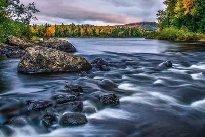 Free shuttle to Phoenix Sky Harbor Airport