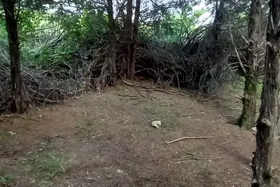 Image de Rabbit's Den @B Berry Farms