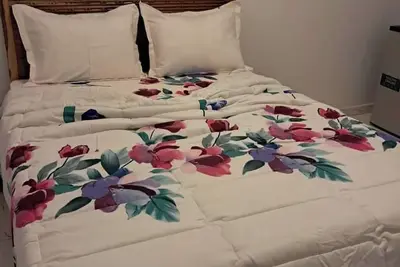 Image de Appartement meublés Calavi