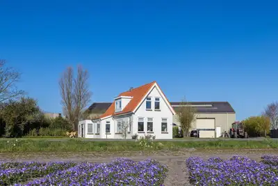 Image de Maison avec vue sur les champs de tulipes