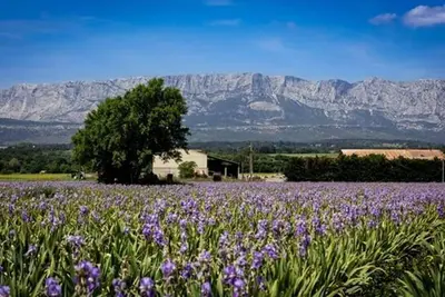 Image de A Charming, Relaxing & Exotic Setting Minutes From Trets