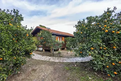 Image de Vacation cottage Dilek Cirali Antalya Turkey