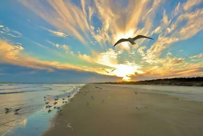 Image de Cottage Beneath the Branches in Wachesaw-golf/pool/beach