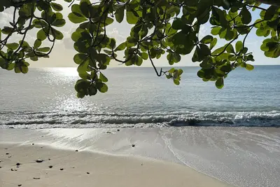 Image de Cozy Ocean View Villa, full kitchen, strong Wi-Fi- 2 min from the beach! \n