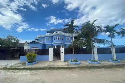 Image de The Blue Flamingo
