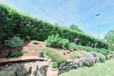 Image de Lake Constance pearl! Cozy 3. 5 room apartment with beautiful garden near Lake Constance