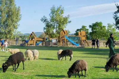Image de Maison avec piscine location de vacances à la ferme pédagogique du dolmen