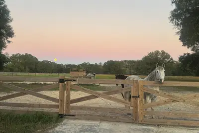 Image de Cute cottage on 85-Acre horse farm