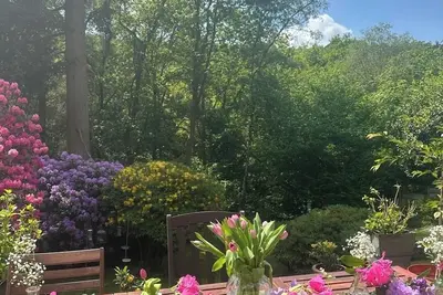 Image de 5bd House in the Forest