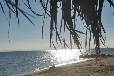 Image de Luxury Juniorsuite Fitted kitchen Balcony sep. Bathroom with shower Balcony Bedc. Child 12 yrs.