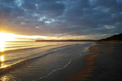 Image de G44 Dune Forest - Dune Forest G44