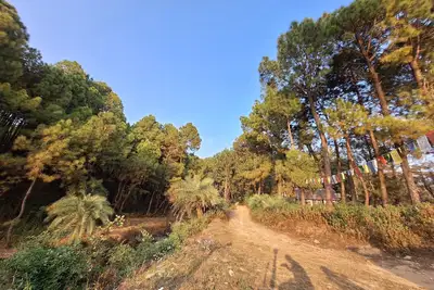 Image de 2 Bedroom & 5 Rooms Hostel property in Pine Forest at Bir-Billing  H. P.