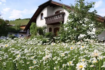 Image de Vacation apartment Weinbergsliebe - Wonderful vacation apartment on the vineyard