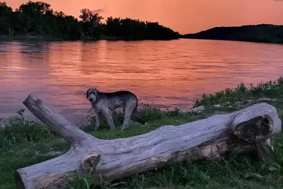 Image de Waterfront Cabin w/ Sunset View, WiFi, Huge yard, and Fire-pit!