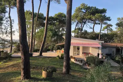 Image de Villa Face à la Mer avec Parc Arboré à Saint-Georges-de-Didonne 🌴🌊