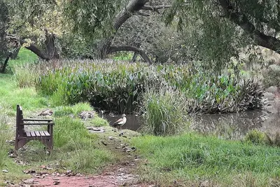 Image de \t\nPrimrose Safe Haven, capturing the best living in Urban sanctuary.