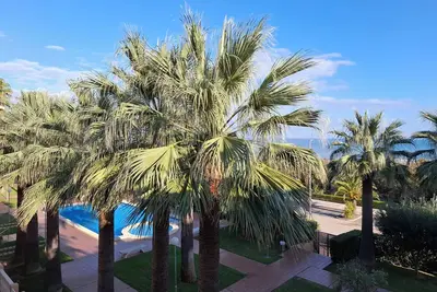 Image de Bel appartement Stella en 1ère ligne sur la mer avec piscine, palmier