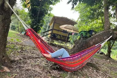 Image de The Casita Amarilla del Yunque