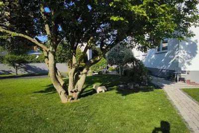 Image de Modern and bright basement apartment with good connections