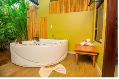 Image de Spacious 4-bedroom apartments with pool, 2 hot tubs near La Fortuna Costa Rica