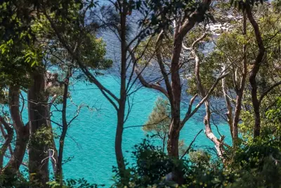 Image de Clifftop Views @ Mollymook