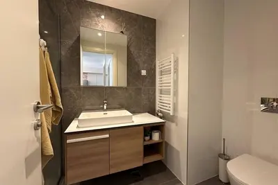 Image de Gorgeous Apartment with view on Sava River