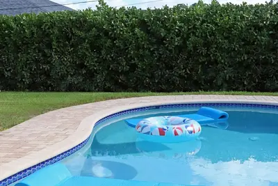Image de Heated Salt Pool & Jacuzzi South Florida Home