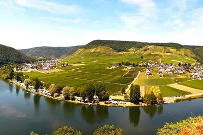 Image de Mosea, the cozy vacation apartment on the Moselle - near Beilstein and Cochem.