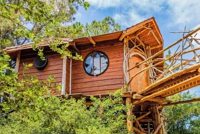 Image de The Hobbit's Nest, A Magical Dog-friendly Treehouse in the Lost Pines Shire