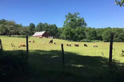 Image de Woolly Acres Farm