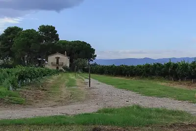 Image de House in a romantic citrus grove, private access to the beach, relax and tranquility!