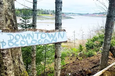 The Cove House - Cozy Coastal Getaway for Relaxation, 5mins from New River Beach