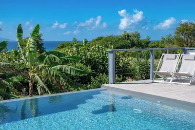 Image de Élégante villa avec piscine, jardin tropical et vue mer, à deux pas des plages,