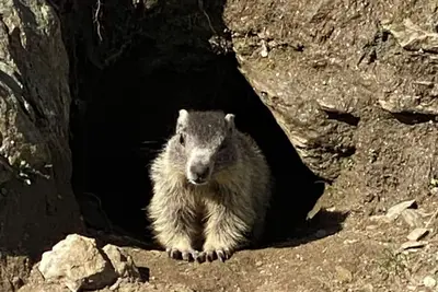 Image de Cozy marmot room with access to a private bathing beach