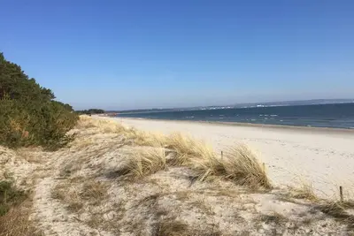 Image de A07 Cormorant, Germany