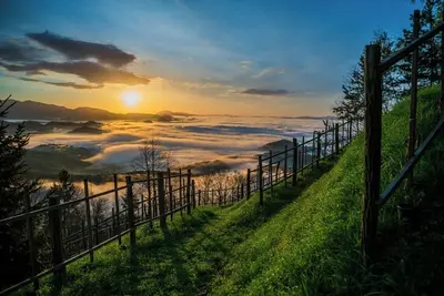 Image de Holiday house for up to 6 guests-Posest Kunigunda with a magical view