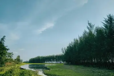 Image de Discover the Denver Tech Center