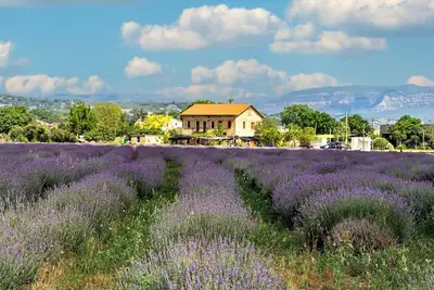 Image de Transform your Travel at Denver Marriott Tech Center