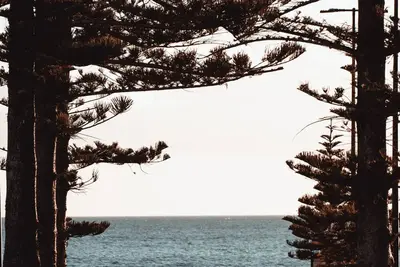 Image de Glenelg Ocean View Apartment