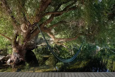 Image de Award-winning modern houseboat 15 min from downtown Seattle. Your city getaway.