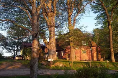 Image de Maison de toit romantique au toit de chaume