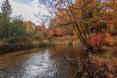 Image de New! Cozy 3-bedroom 2-bath, 175 ft on Betsie River, 1 mile to Crystal Mountain