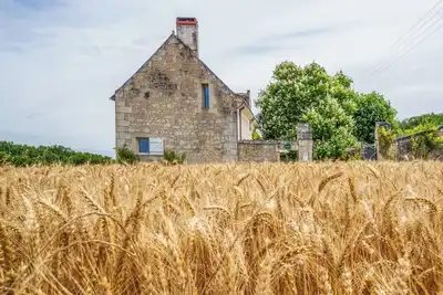 Image de Maison de campagne sud Touraine avec piscine 8p.