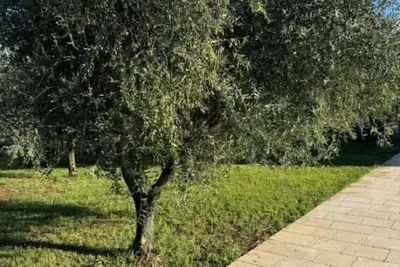 Image de 2 Br House / Balcony - Tenuta Il Poggio Teano