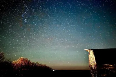 Image de Cozy Cottage on the Farm! Getaway an enjoy nature and the Dark Sky.