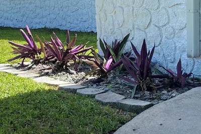 Image de Spacious 4 bedroom with WiFi and Ac in welcoming Port Orange Home away from home