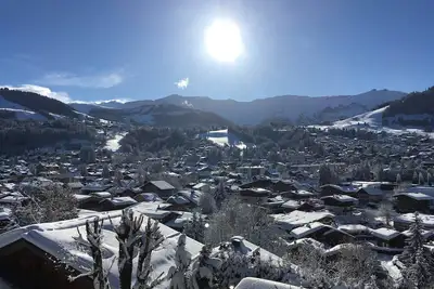 Chalet T7 avec jardin en front de neige